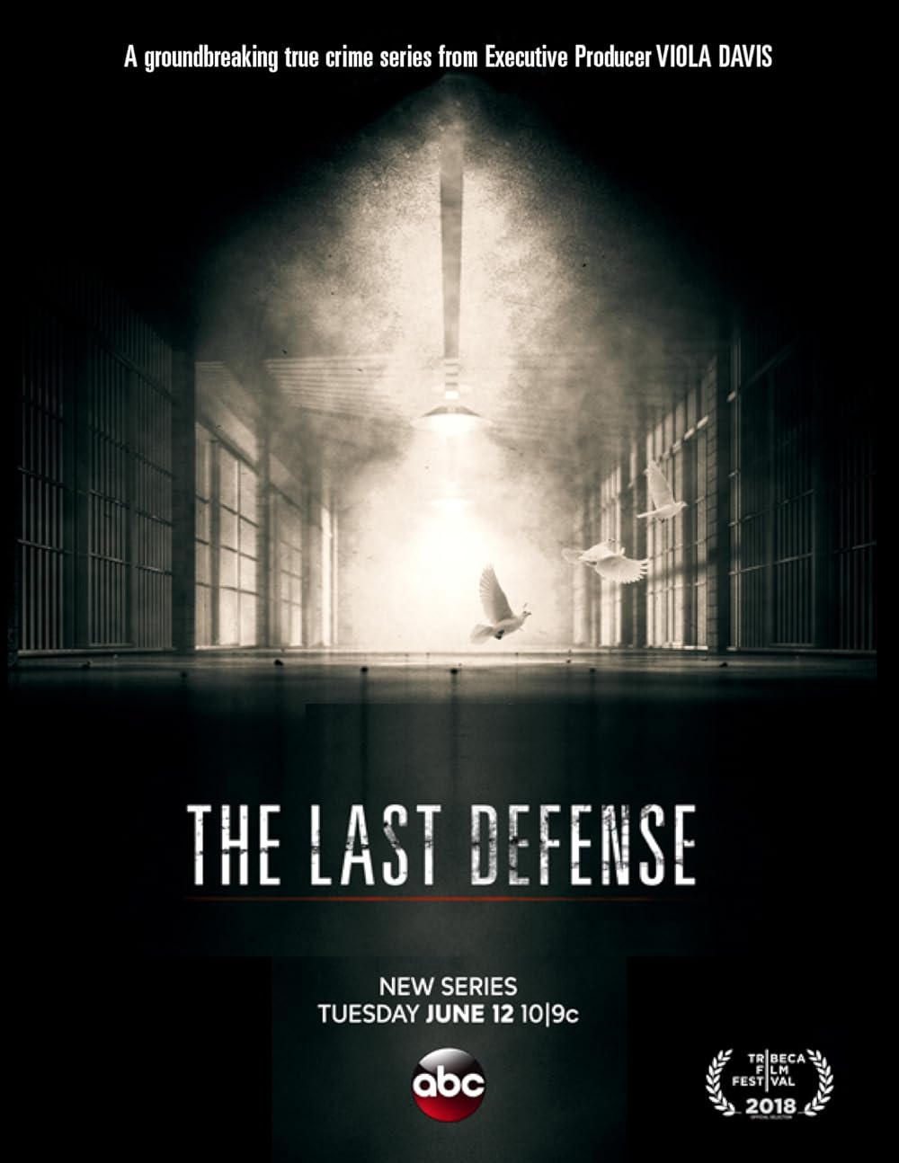 The Last Defense 