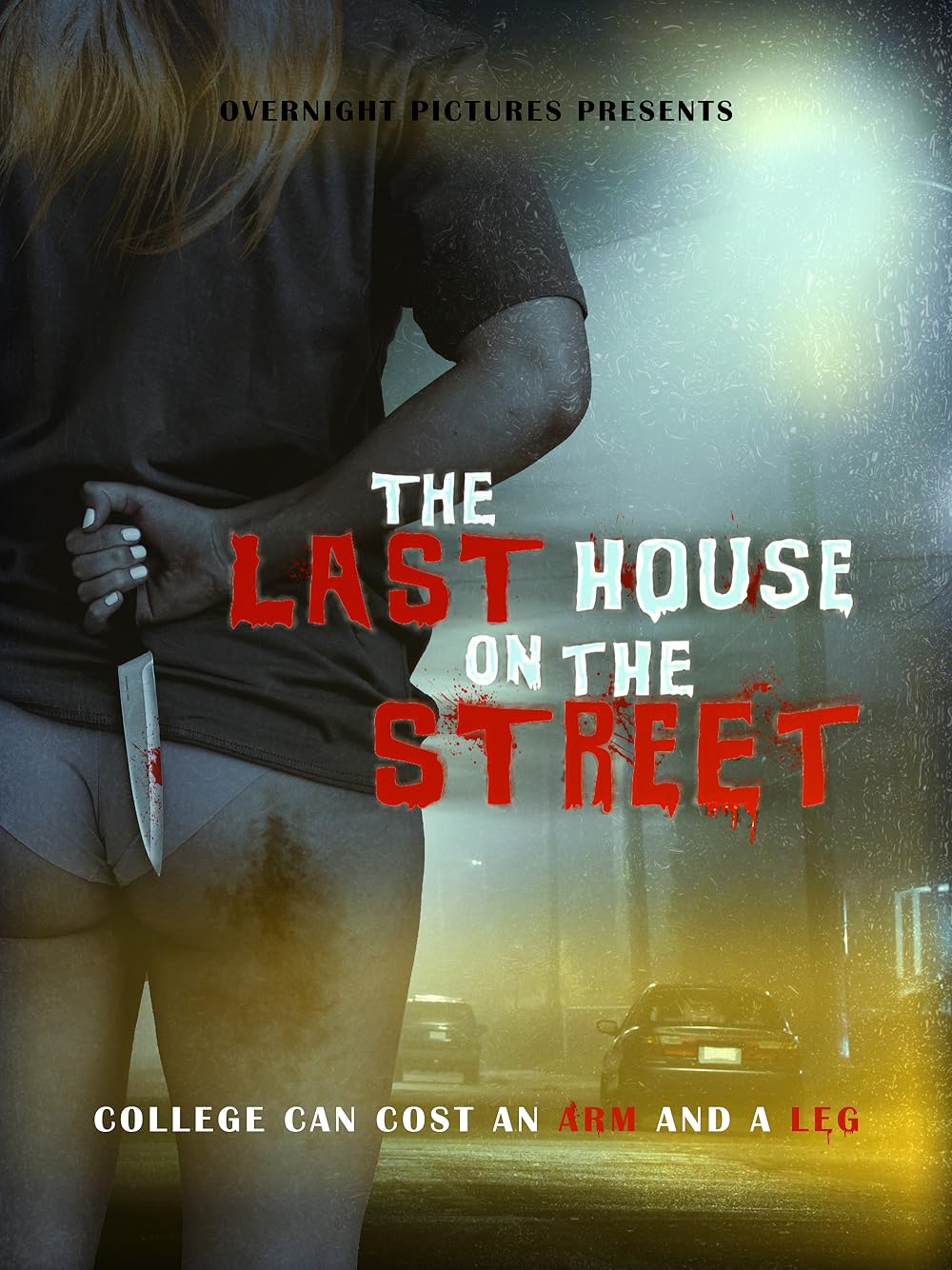 The Last House on the Street 