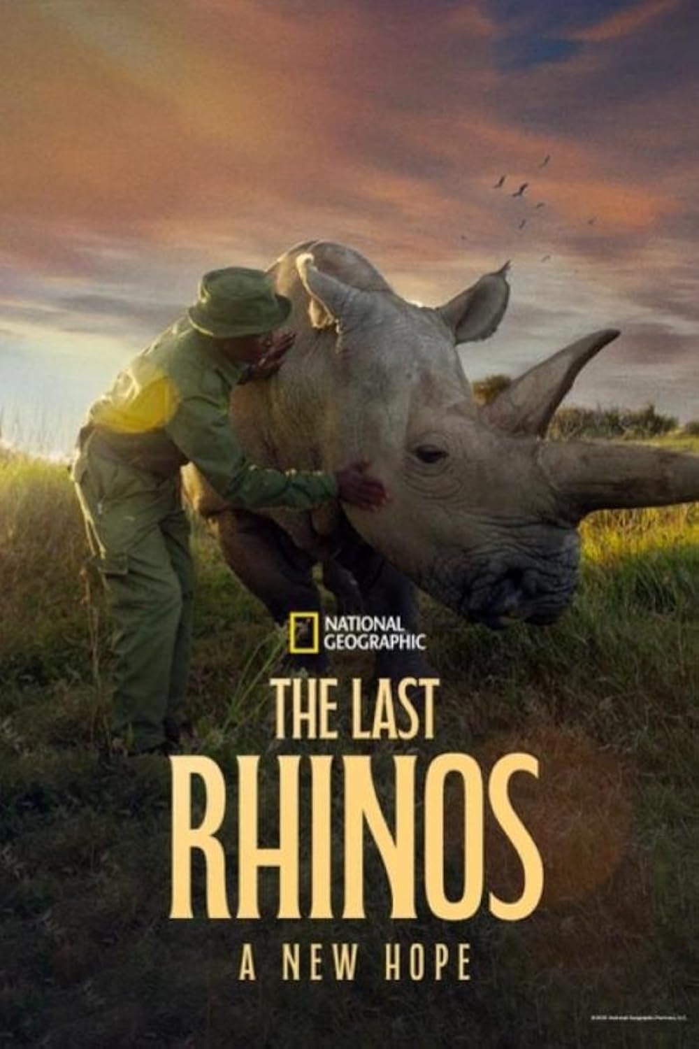 The Last Rhinos: A New Hope 
