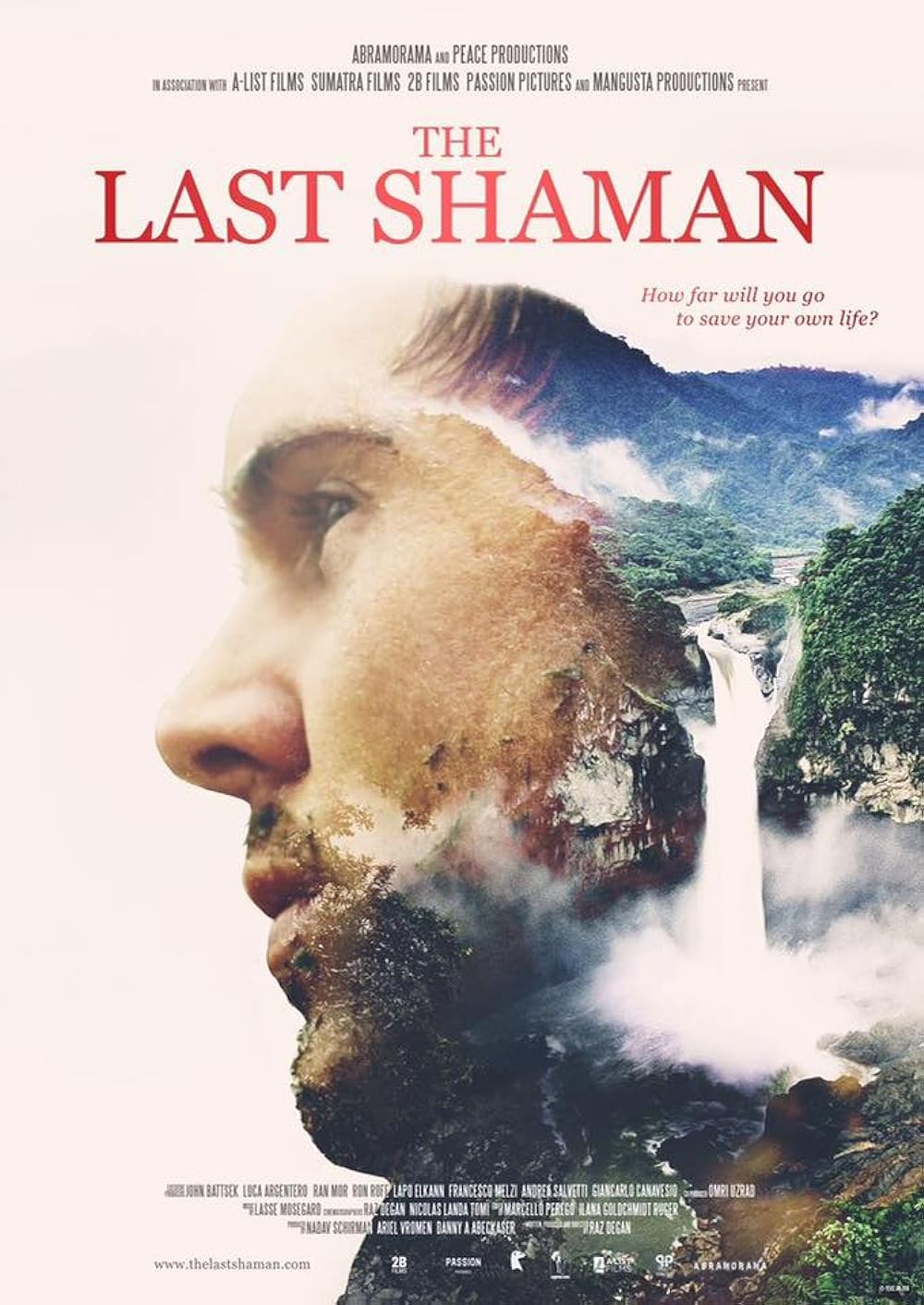 The Last Shaman 