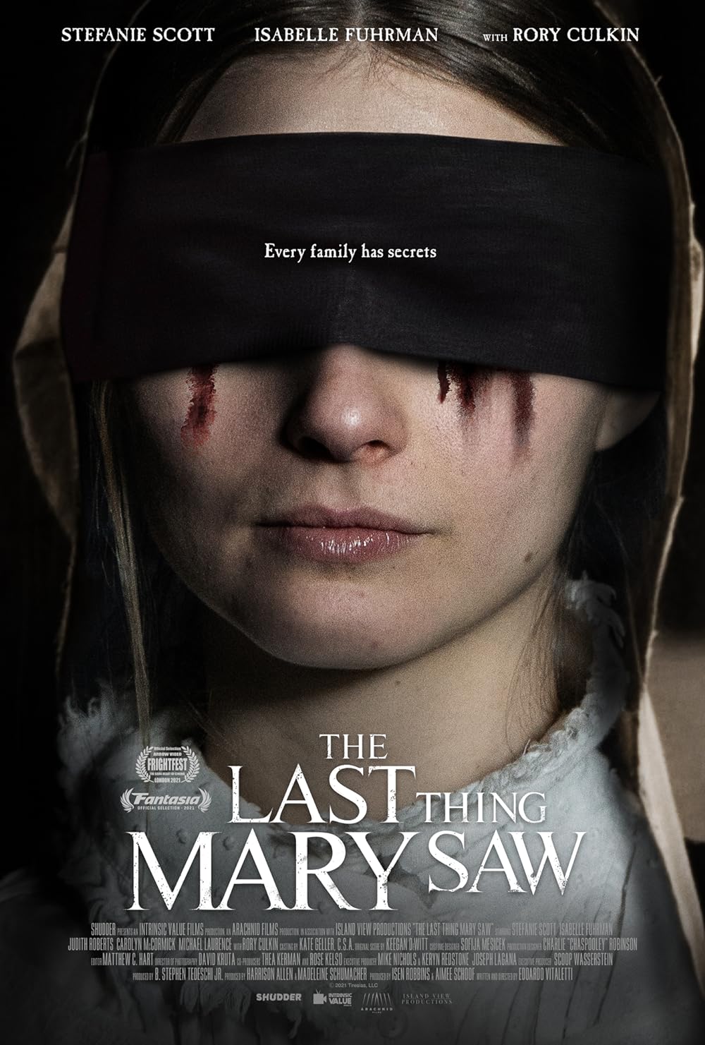 The Last Thing Mary Saw 