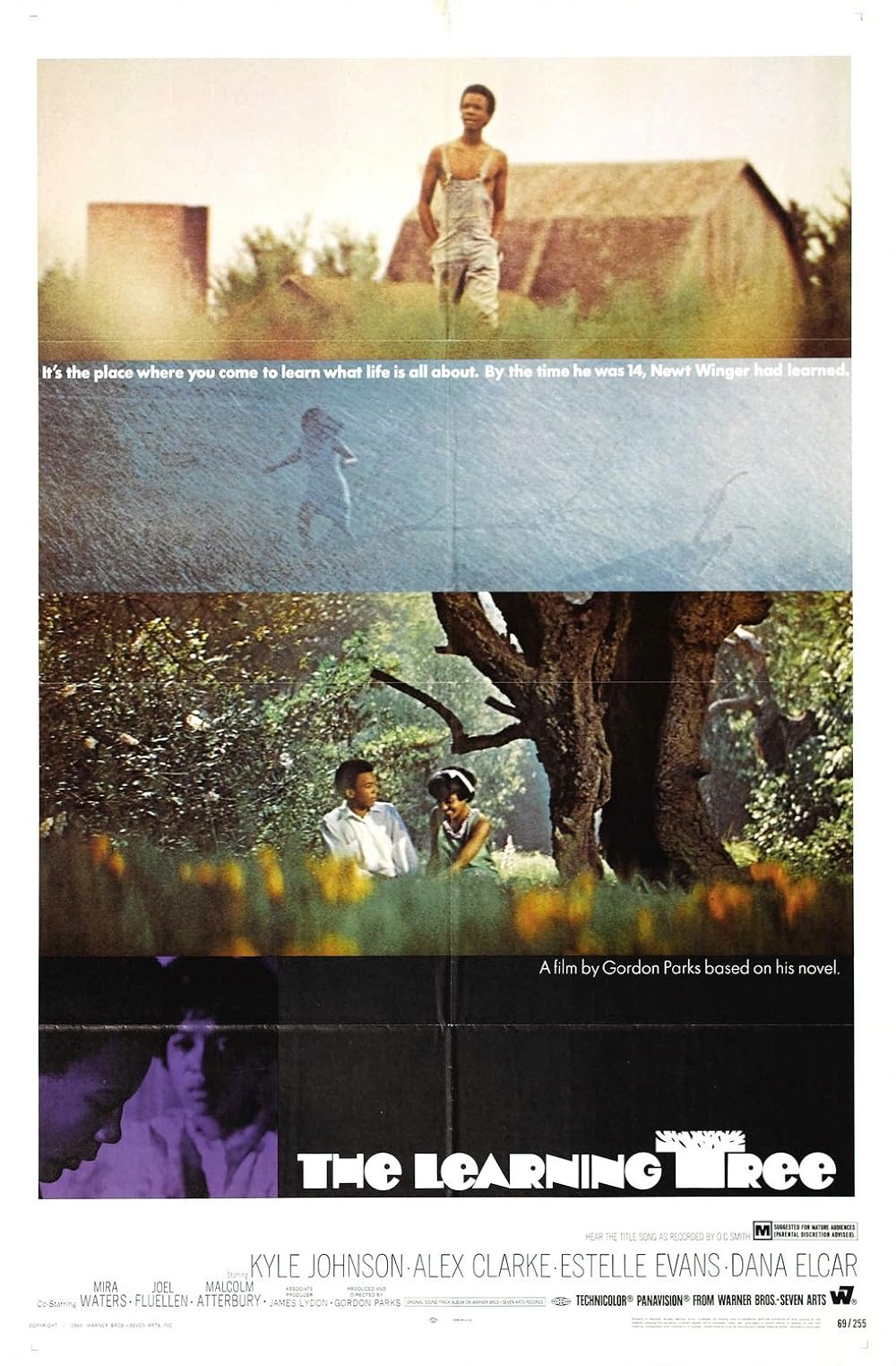 The Learning Tree 