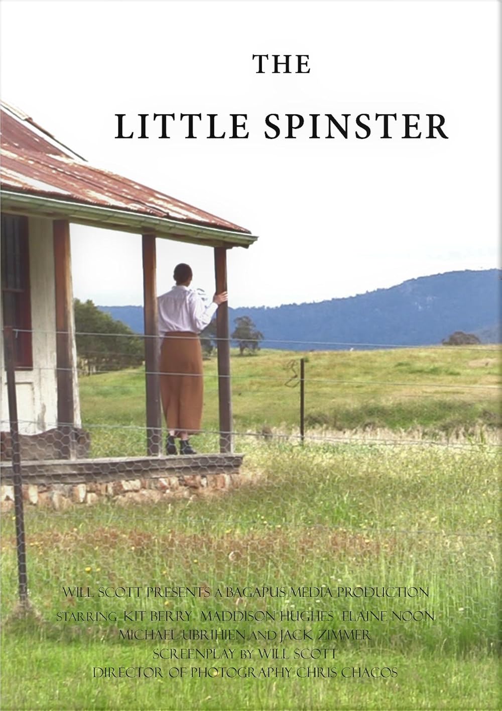 The Little Spinster 