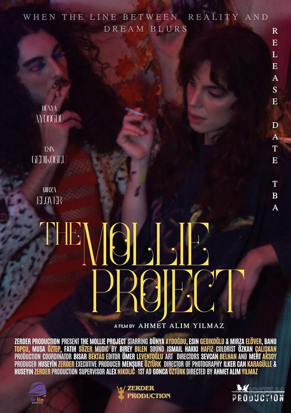 The Mollie Project 