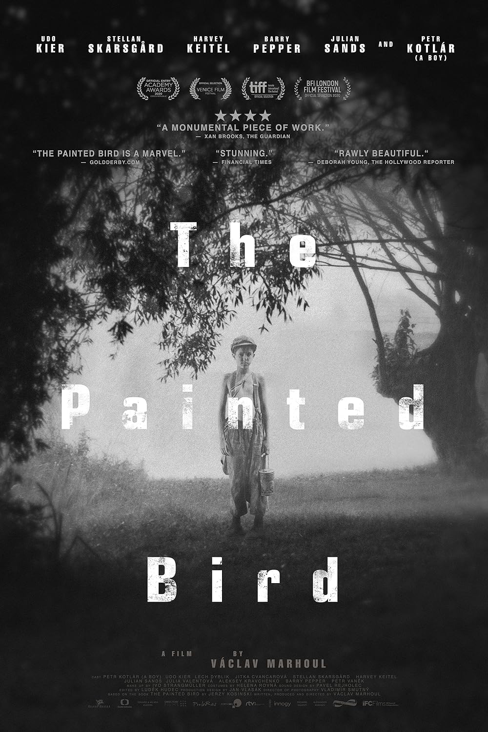 The Painted Bird 