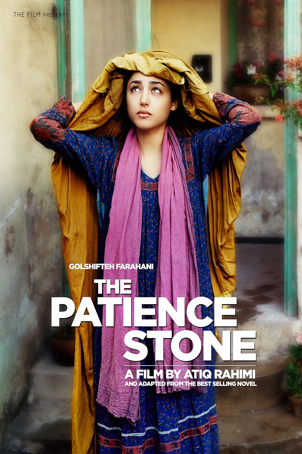 The Patience Stone 