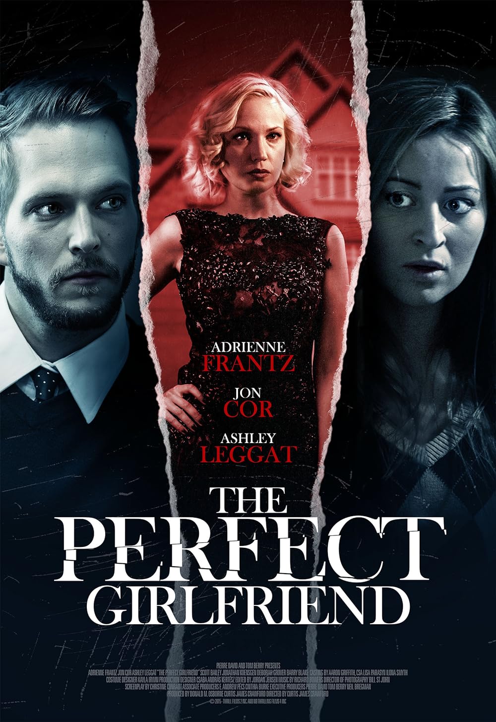 The Perfect Girlfriend 