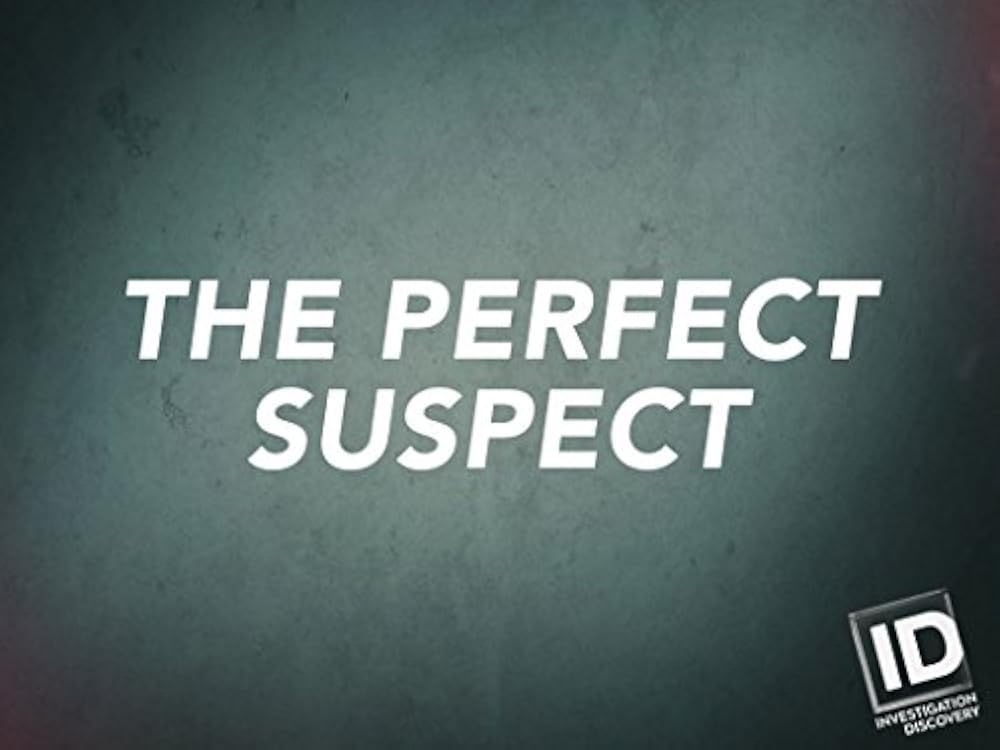 The Perfect Suspect (2017)