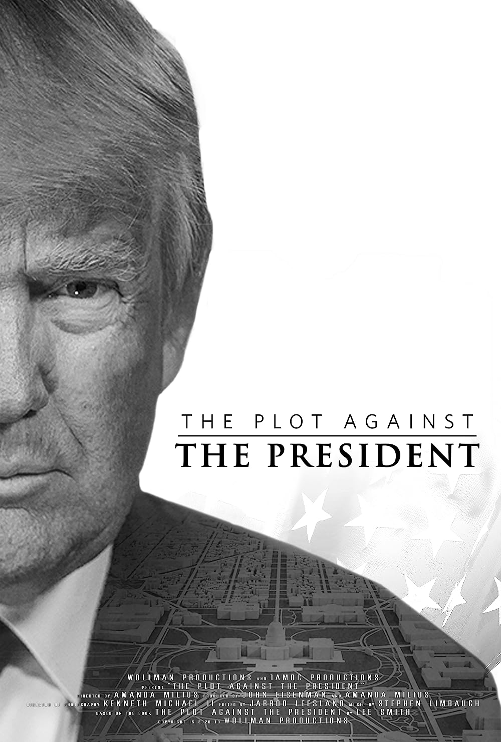 The Plot Against the President 