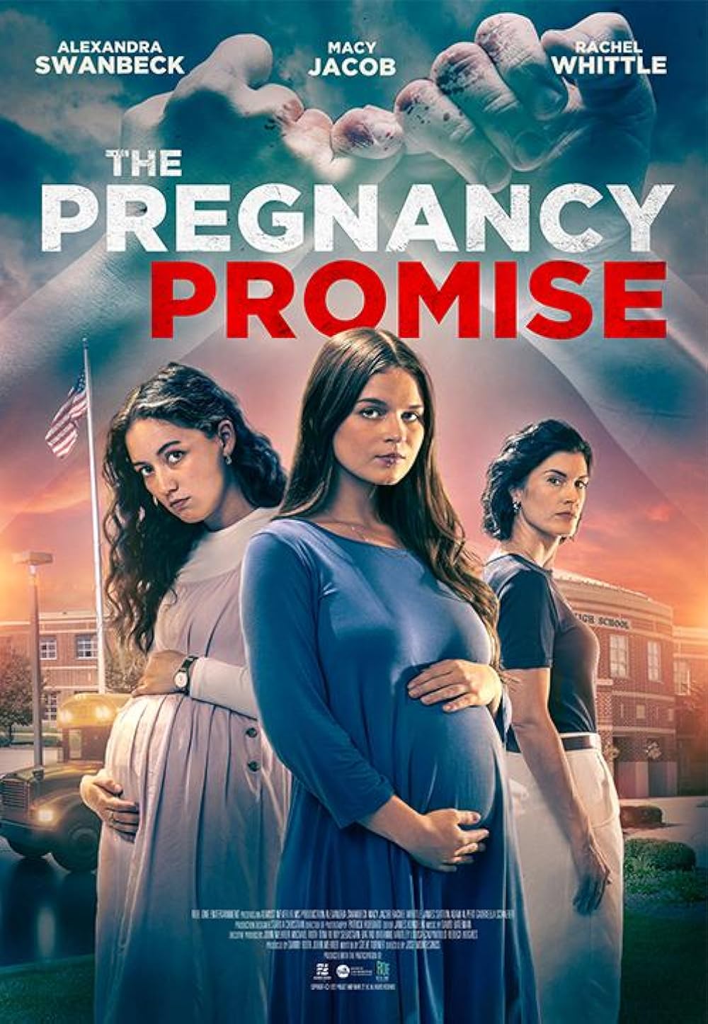 The Pregnancy Promise 