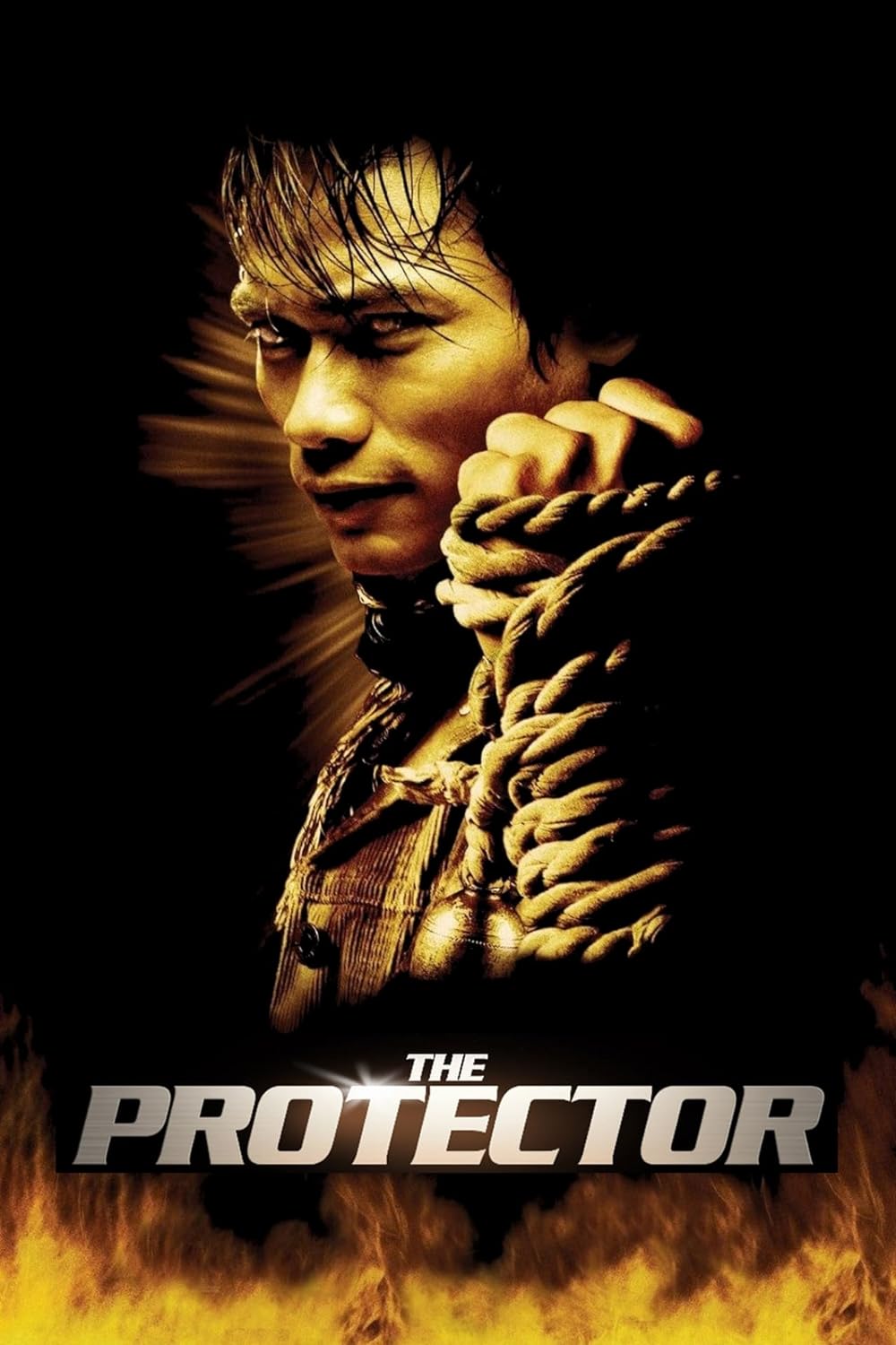 The Protector 