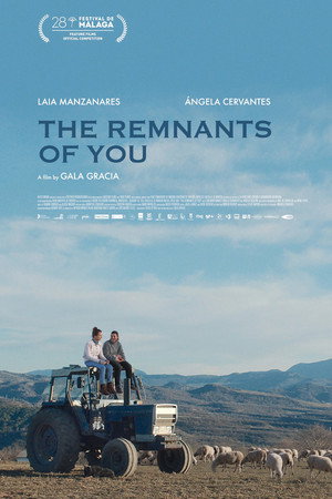 The Remnants of You 
