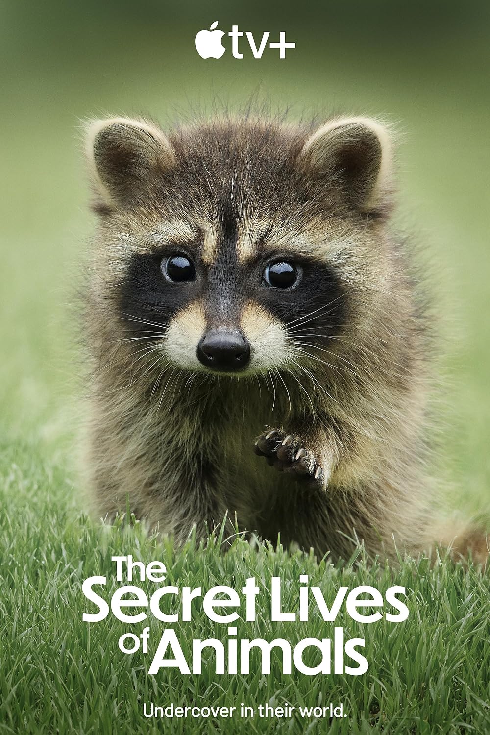 The Secret Lives of Animals 