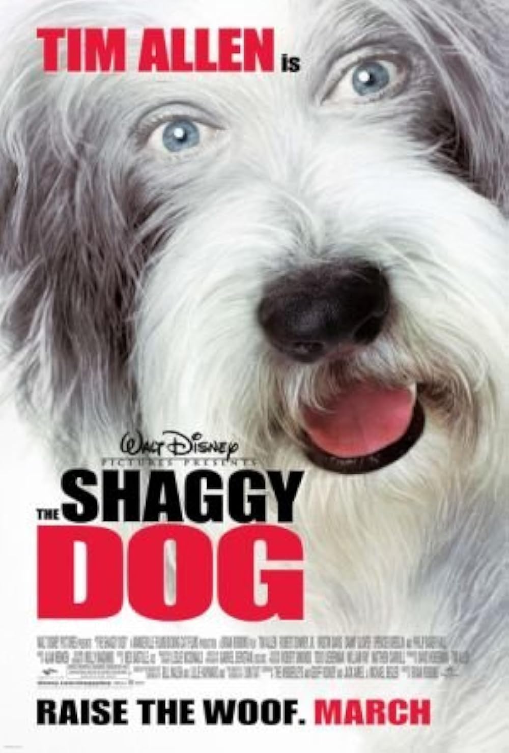 The Shaggy Dog 