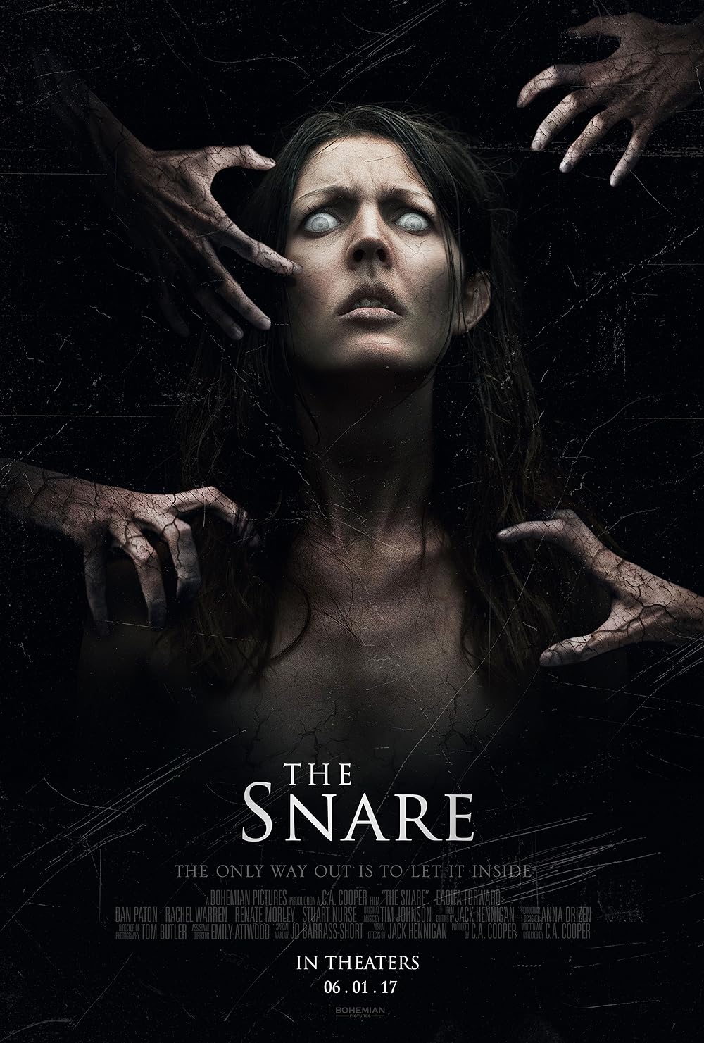 The Snare 