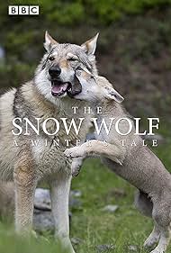 The Snow Wolf: A Winter's Tale 