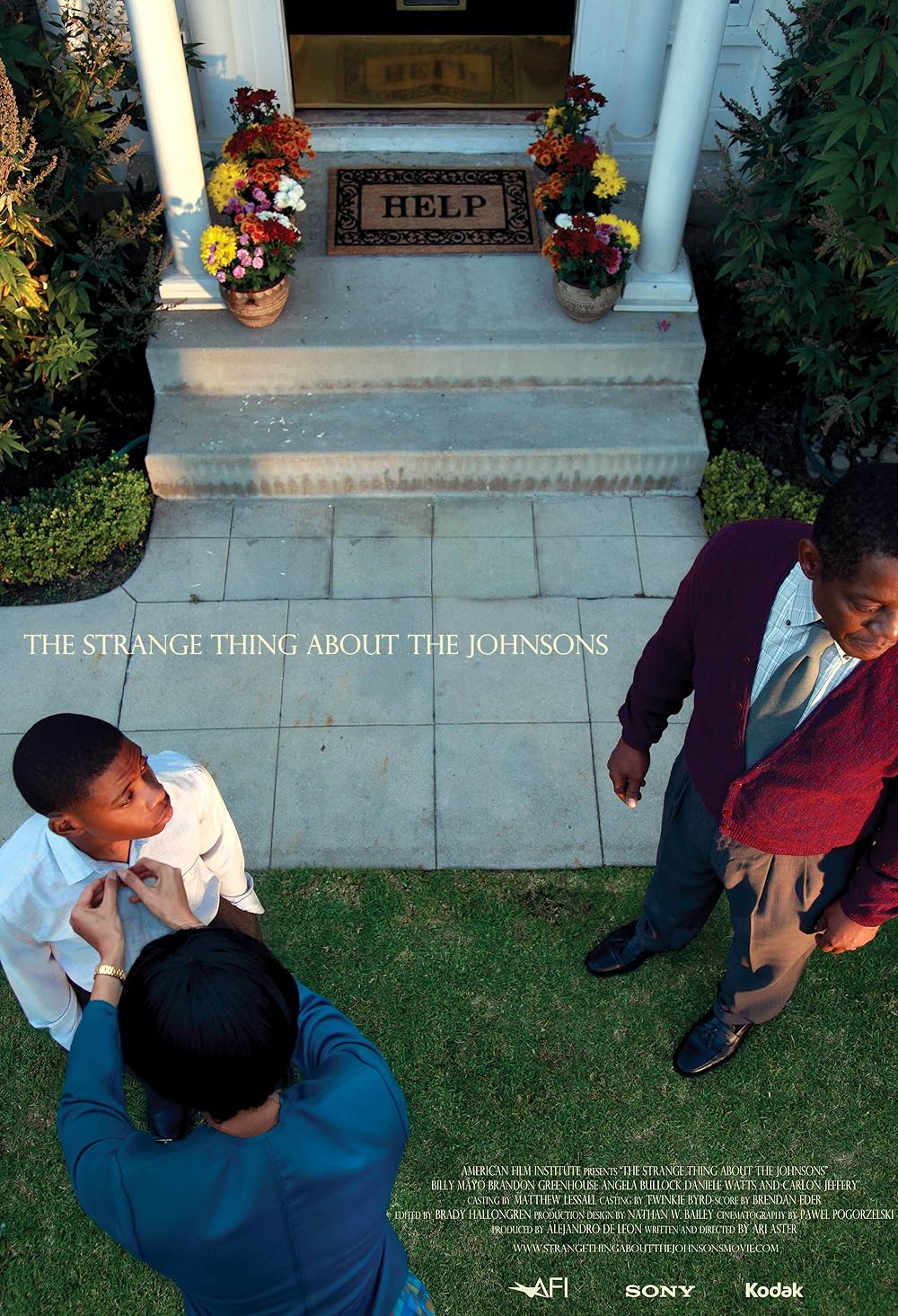 The Strange Thing About the Johnsons 