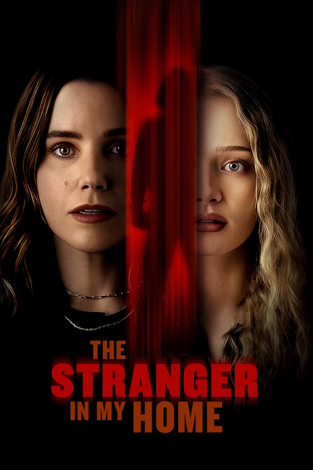 The Stranger in My Home 