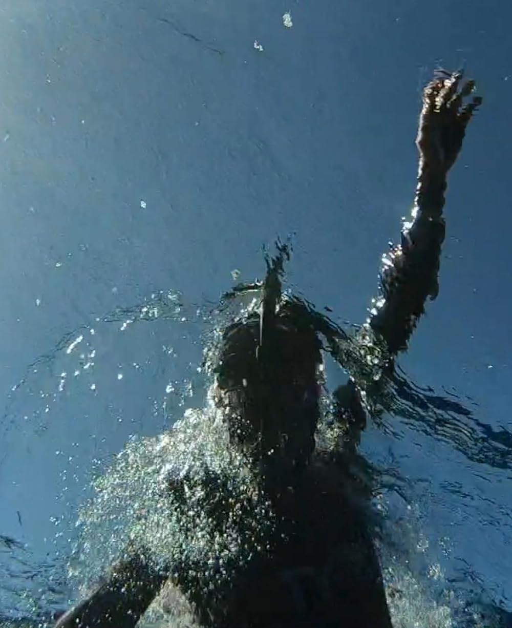 The Swim 
