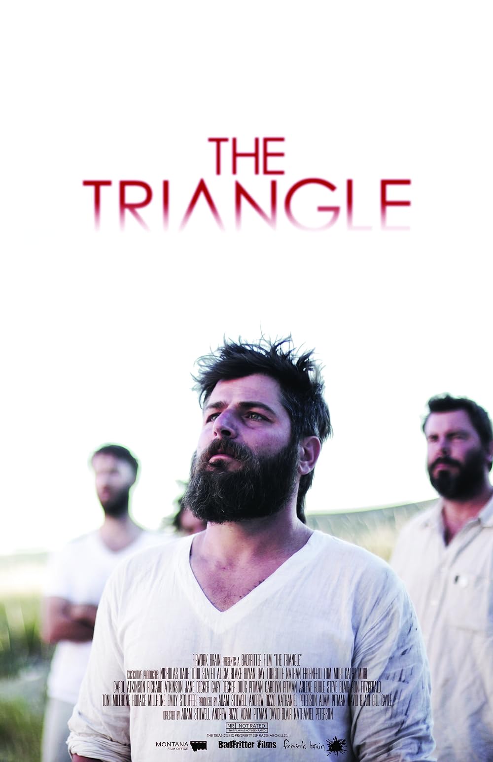 The Triangle 