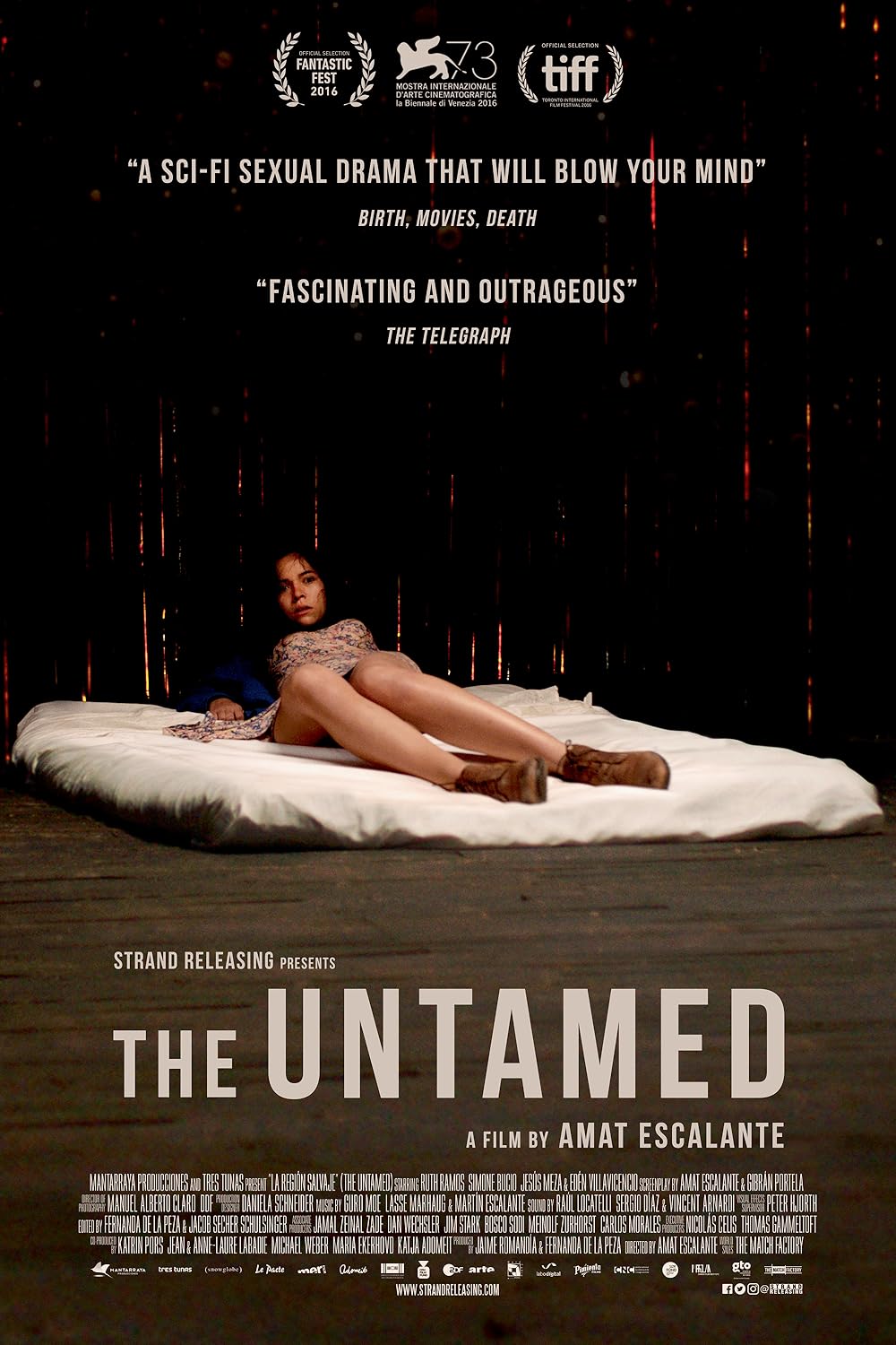The Untamed 