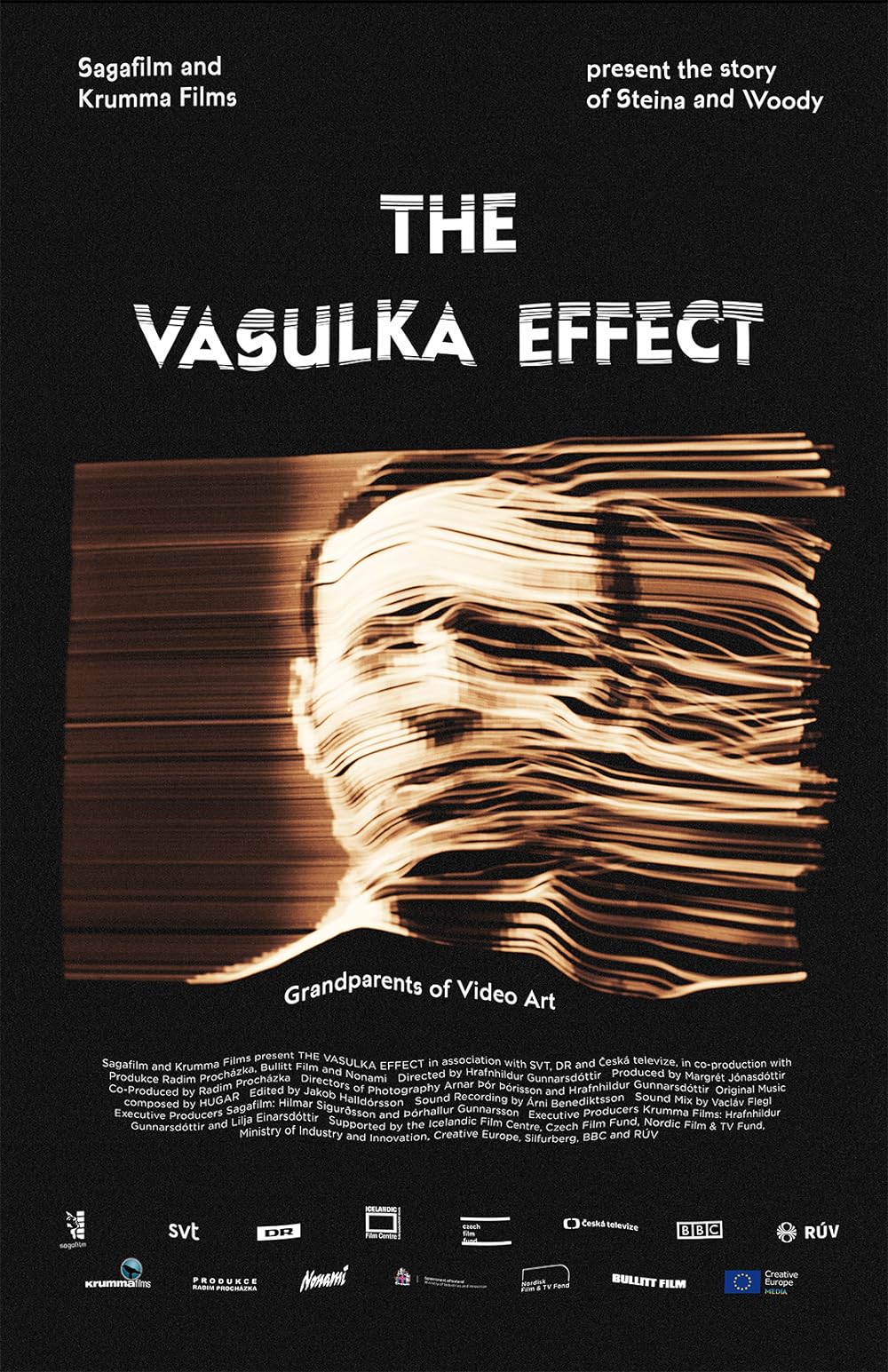 The Vasulka Effect 