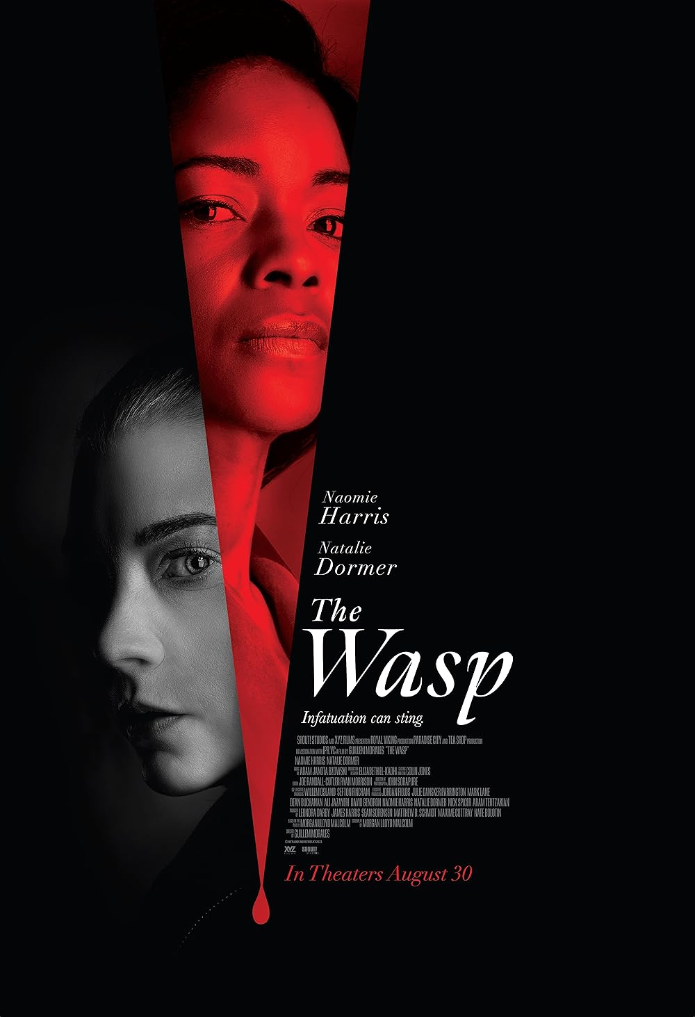 The Wasp 