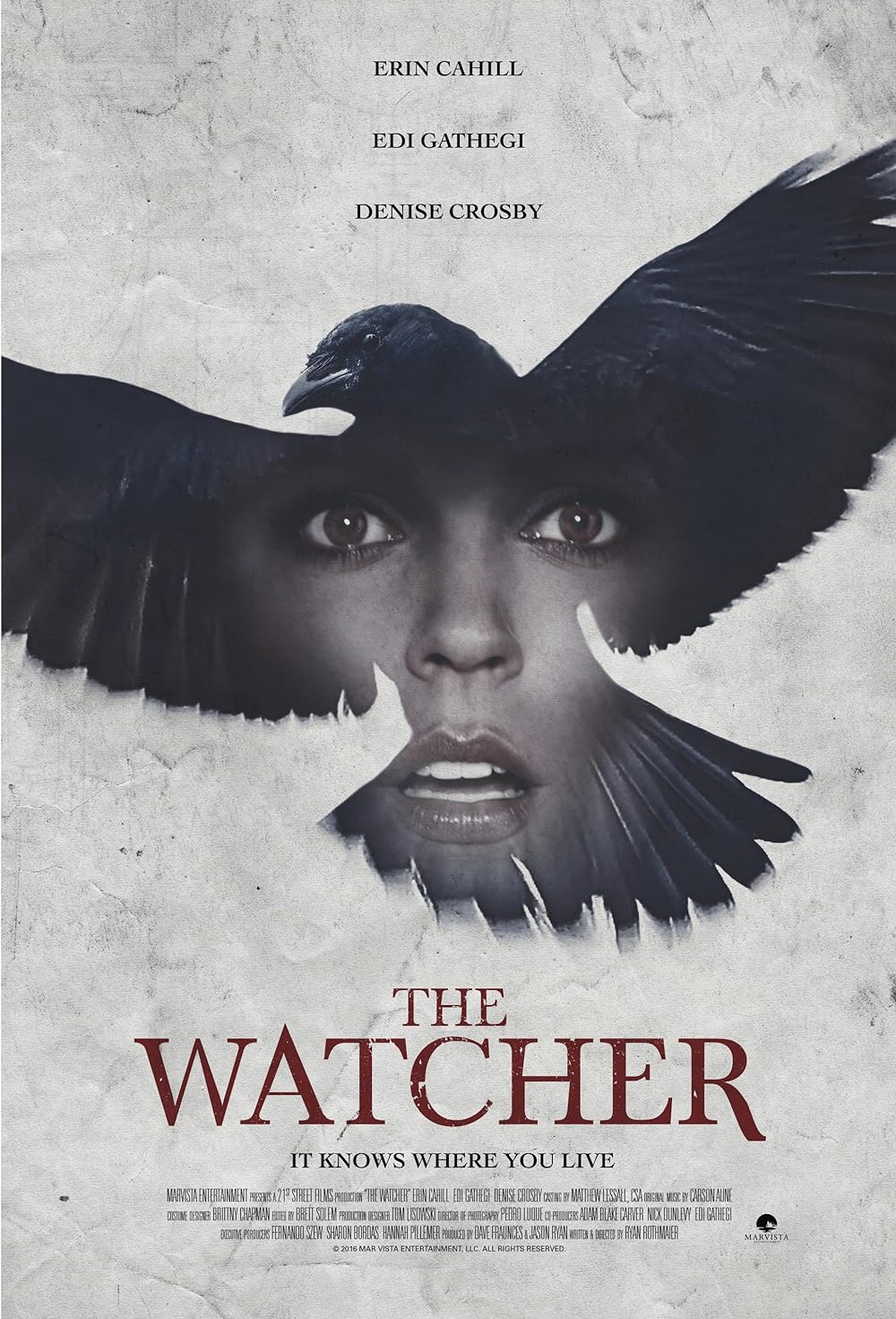 The Watcher 