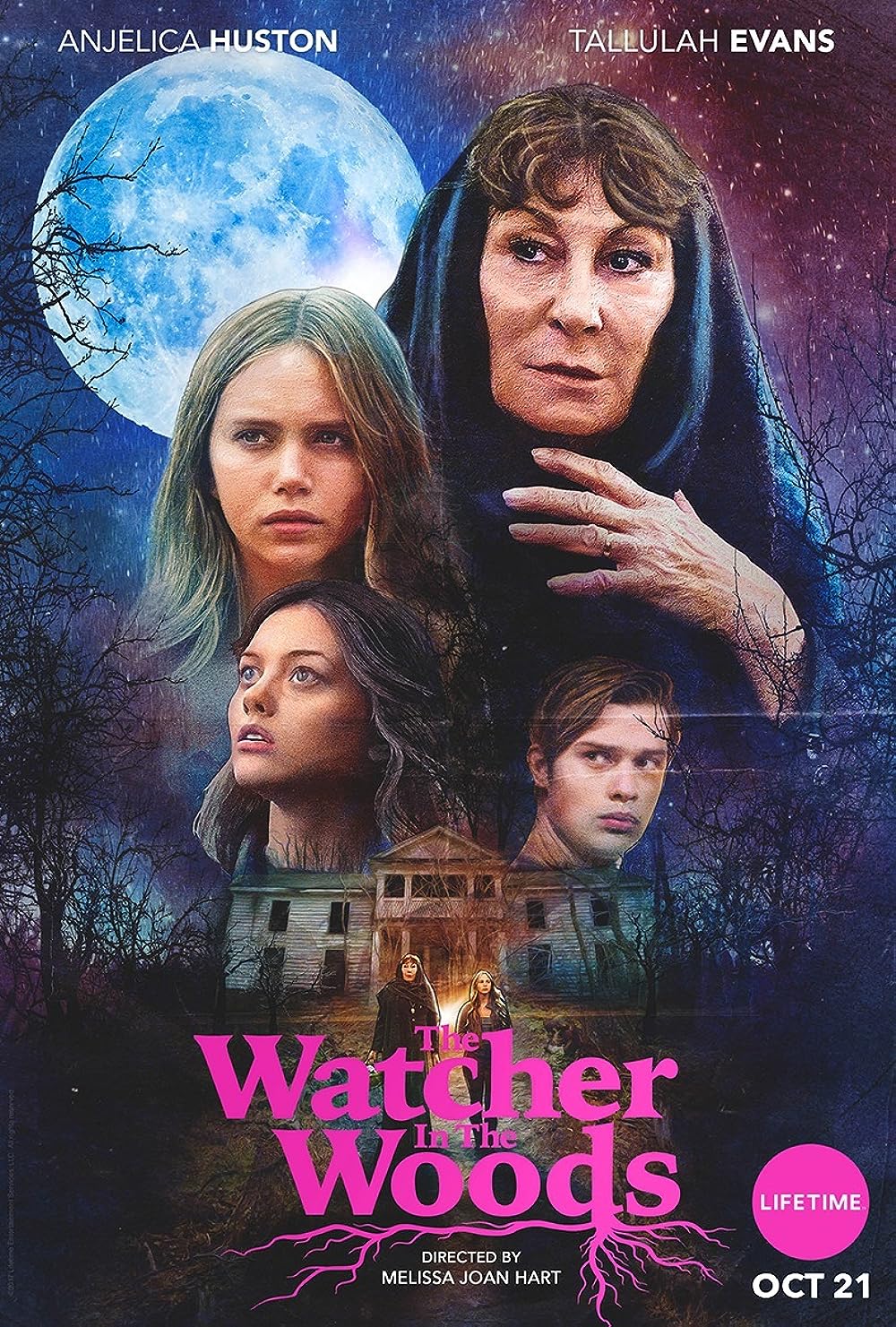 The Watcher in the Woods 