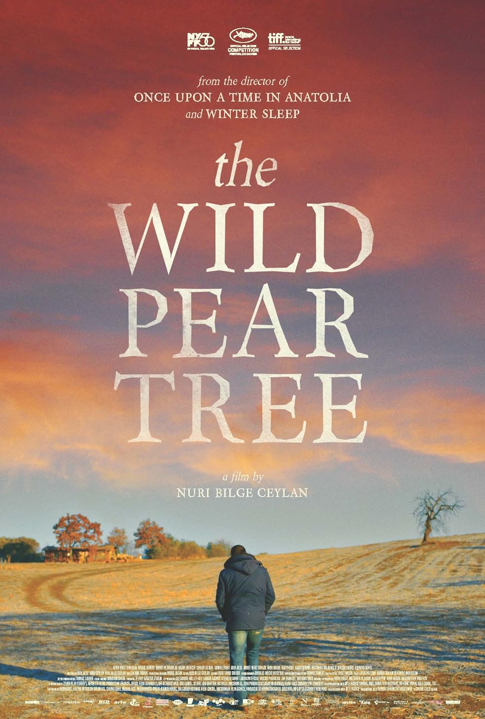 The Wild Pear Tree 