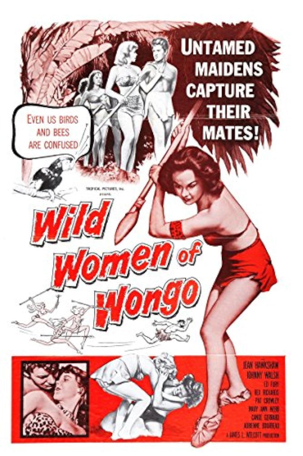 The Wild Women of Wongo 