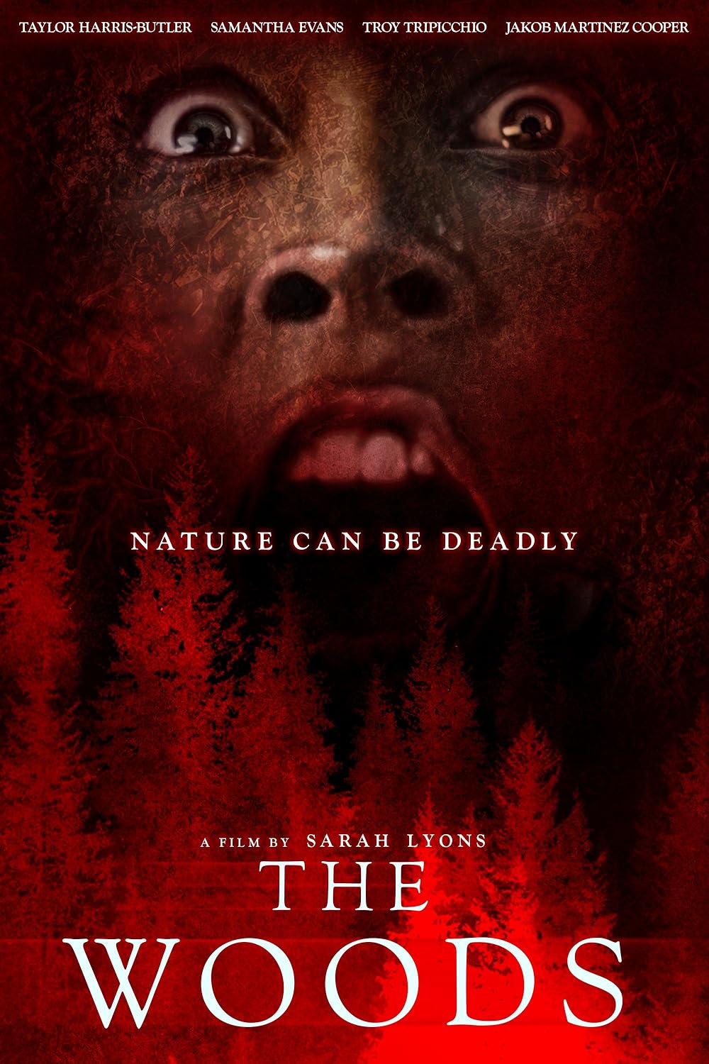 The Woods 