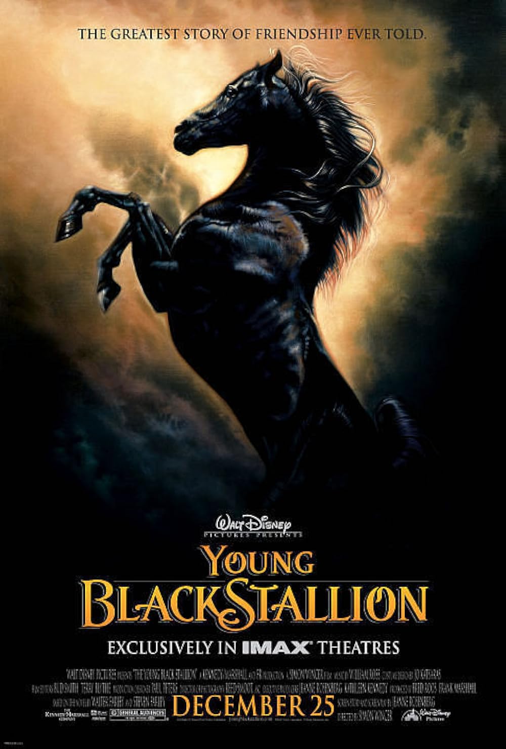 The Young Black Stallion 
