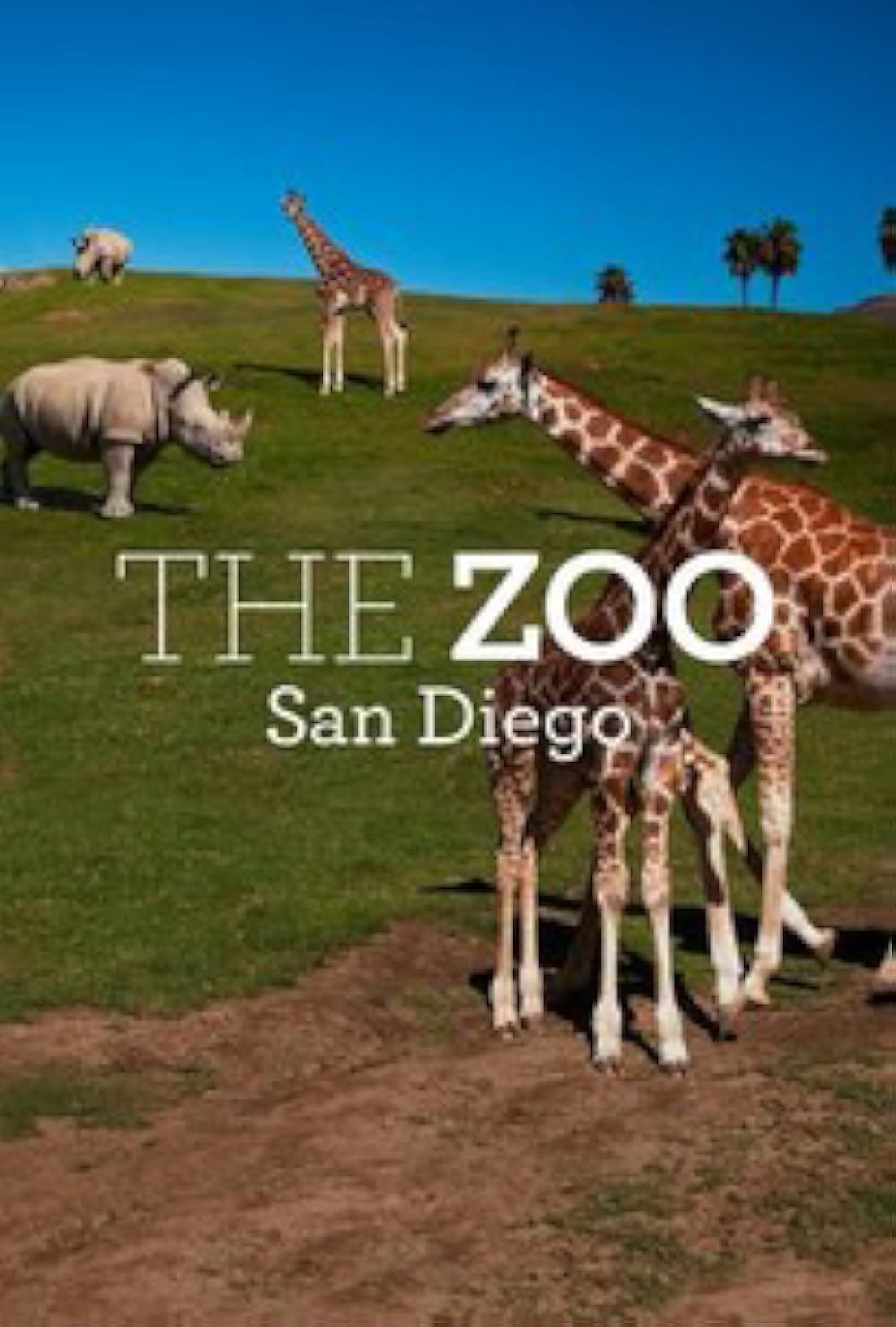 The Zoo: San Diego 