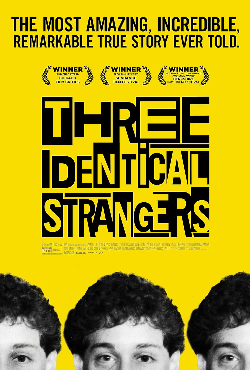Three Identical Strangers 