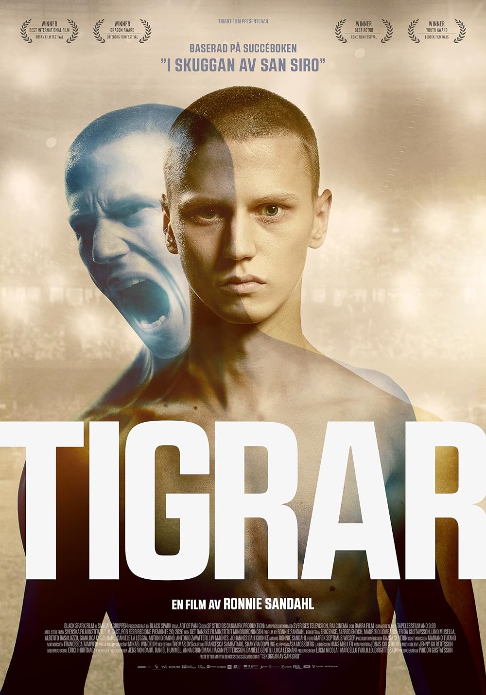 Tigers 