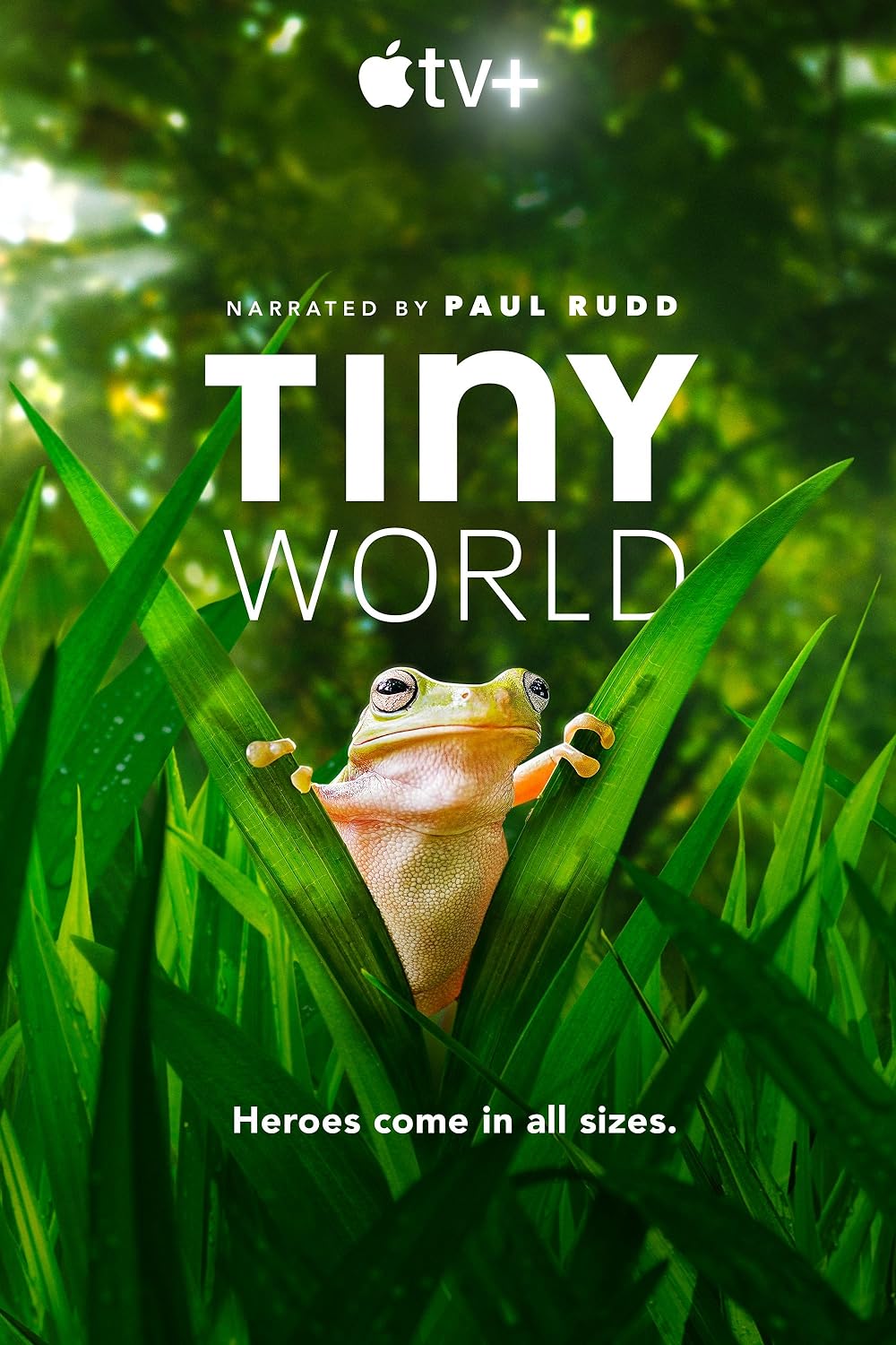 Tiny World 