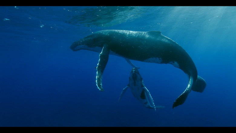 Titans of the Deep (2017)