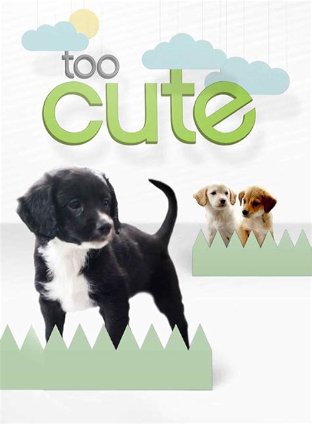 Too Cute! 