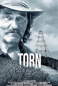 Torn 