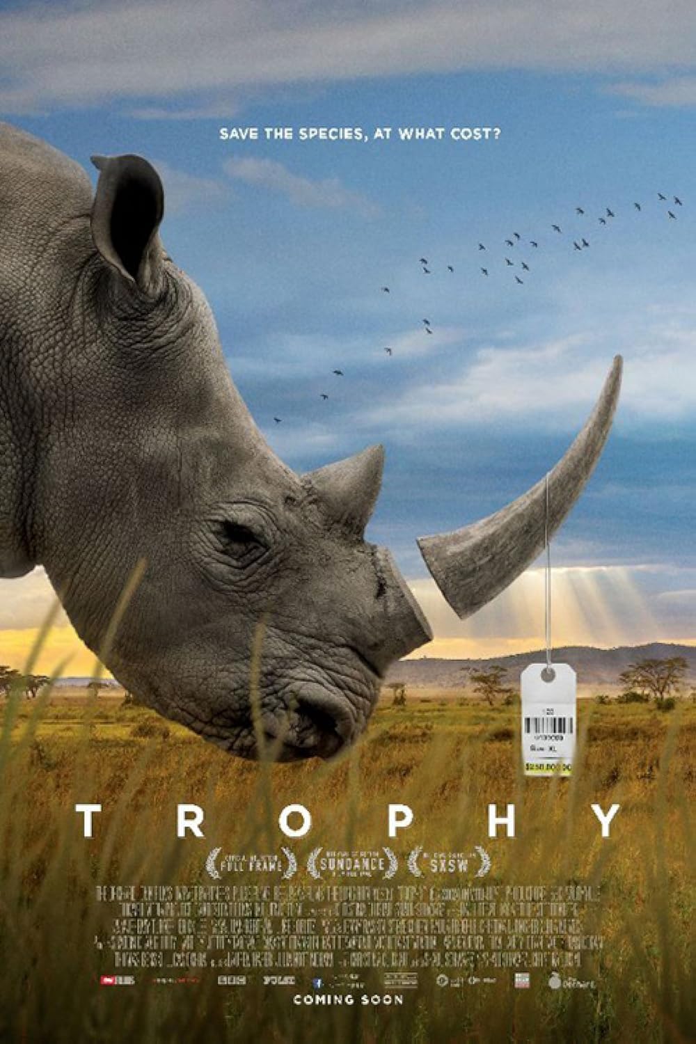 Trophy 