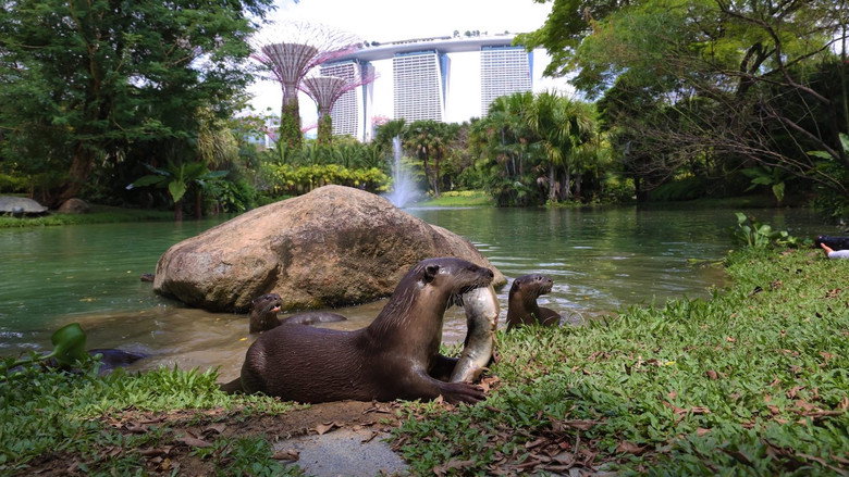 Uptown Otters (TV Mini Series 2022) 2022
