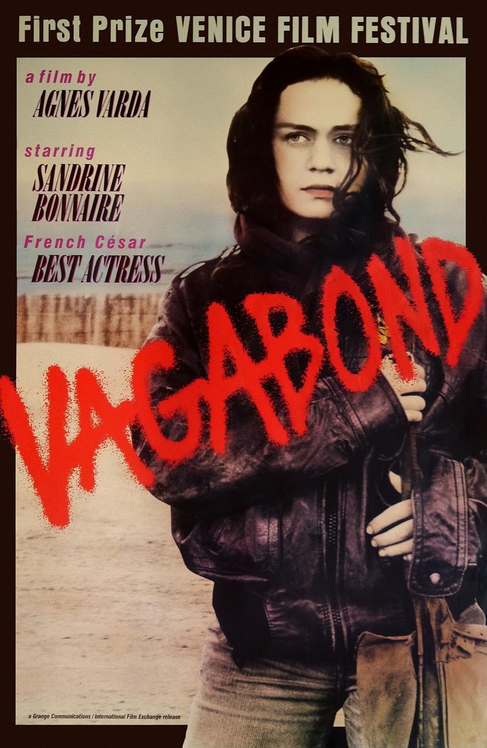 Vagabond 