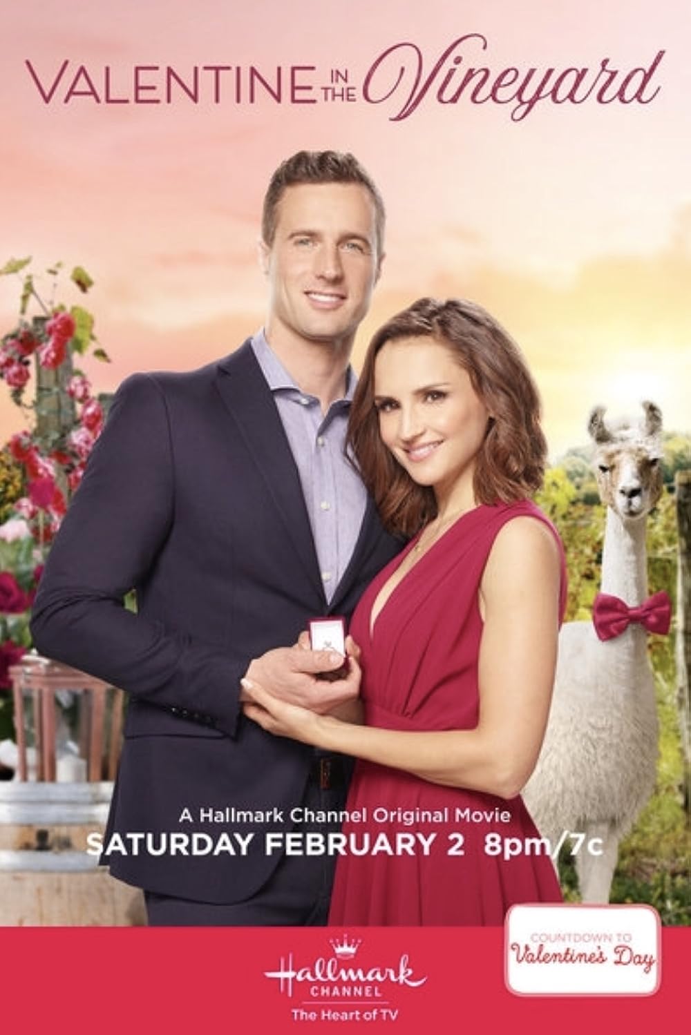 Valentine in the Vineyard 