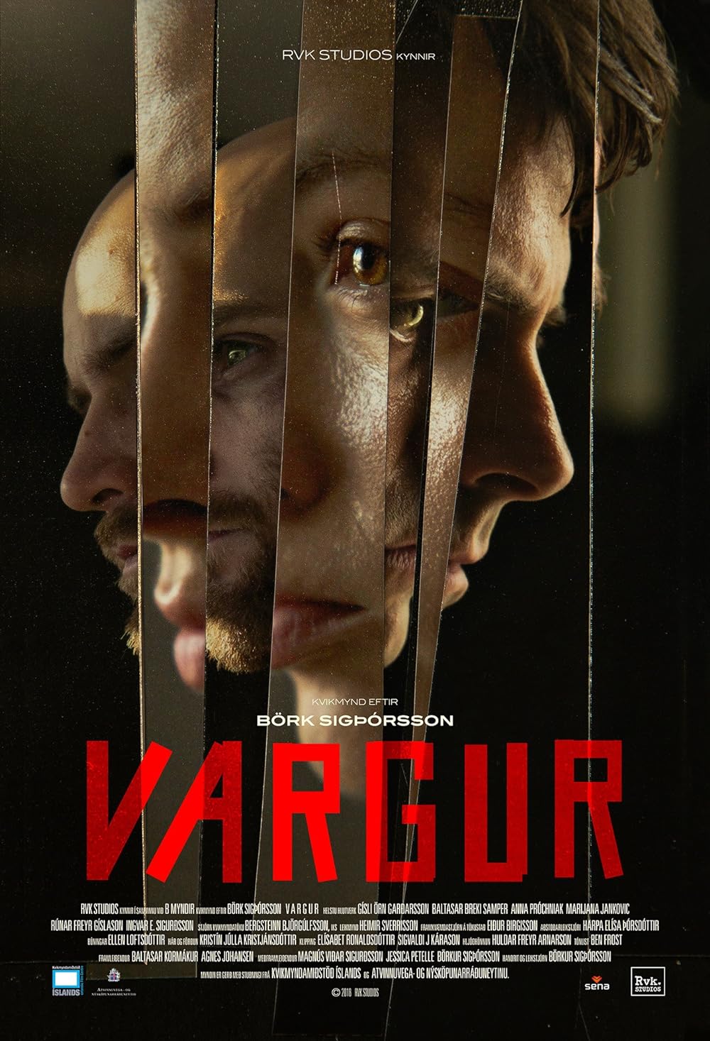 Vargur 