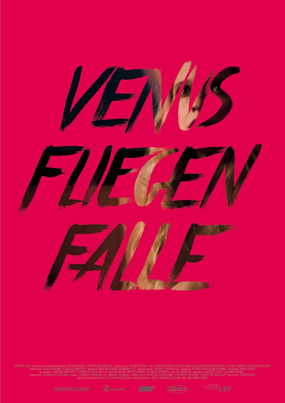 Venus Flytrap 
