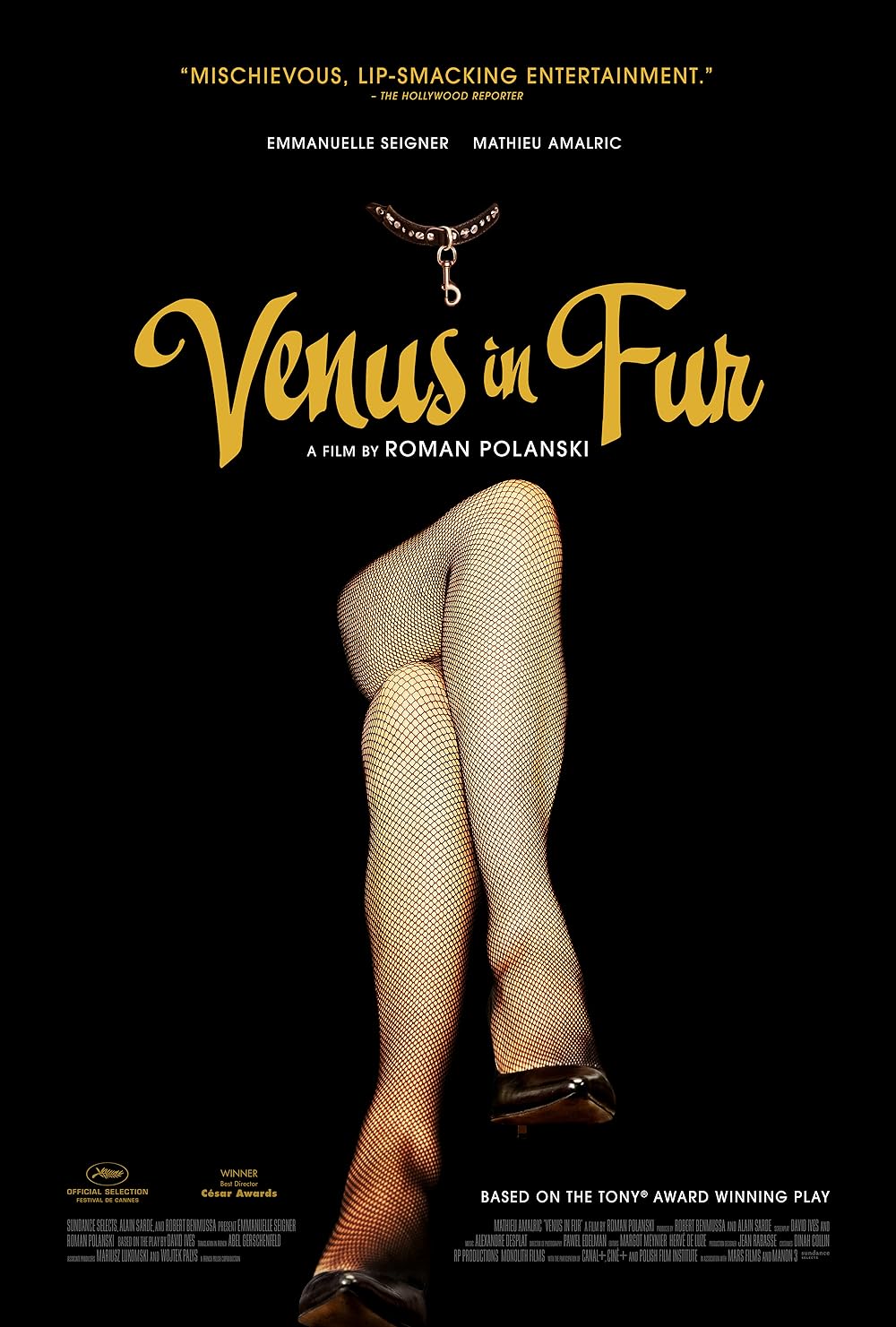 Venus in Fur 