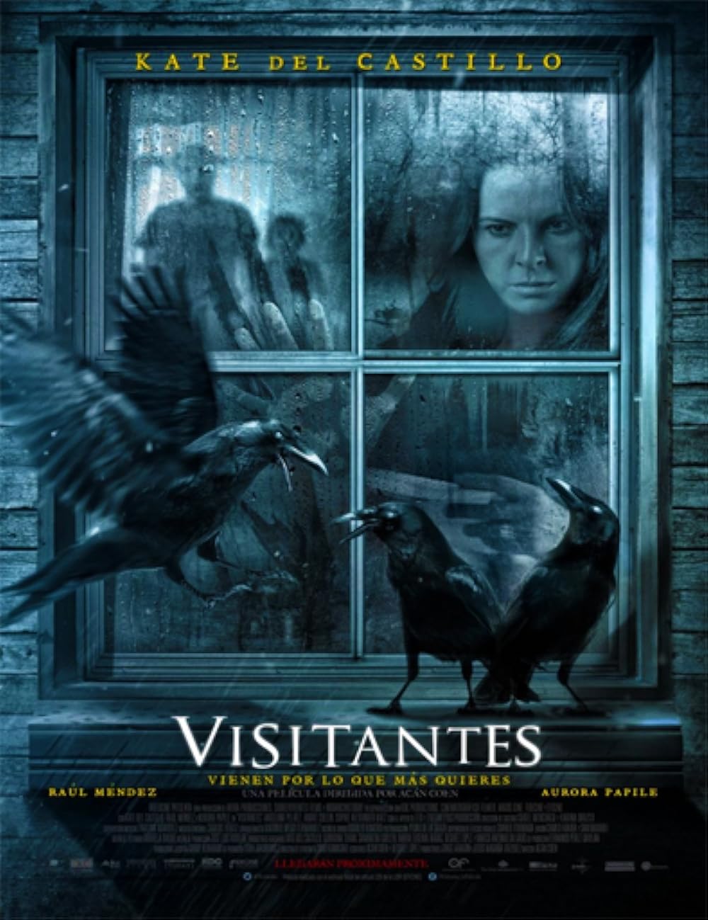 Visitantes 