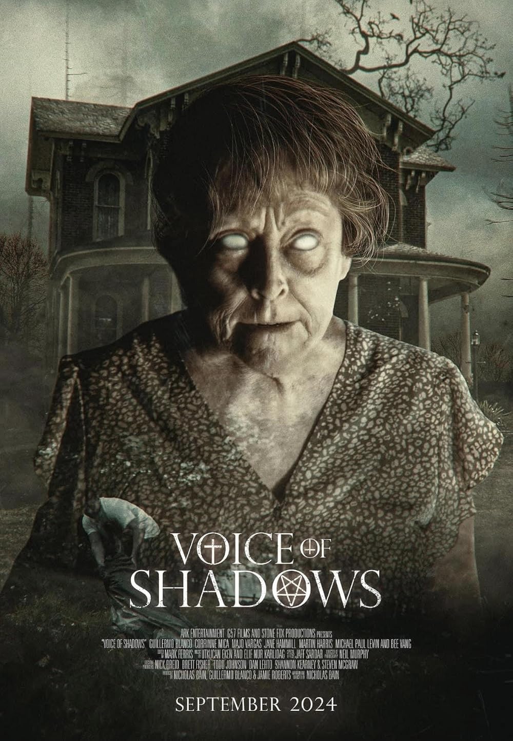 Voice of Shadows 