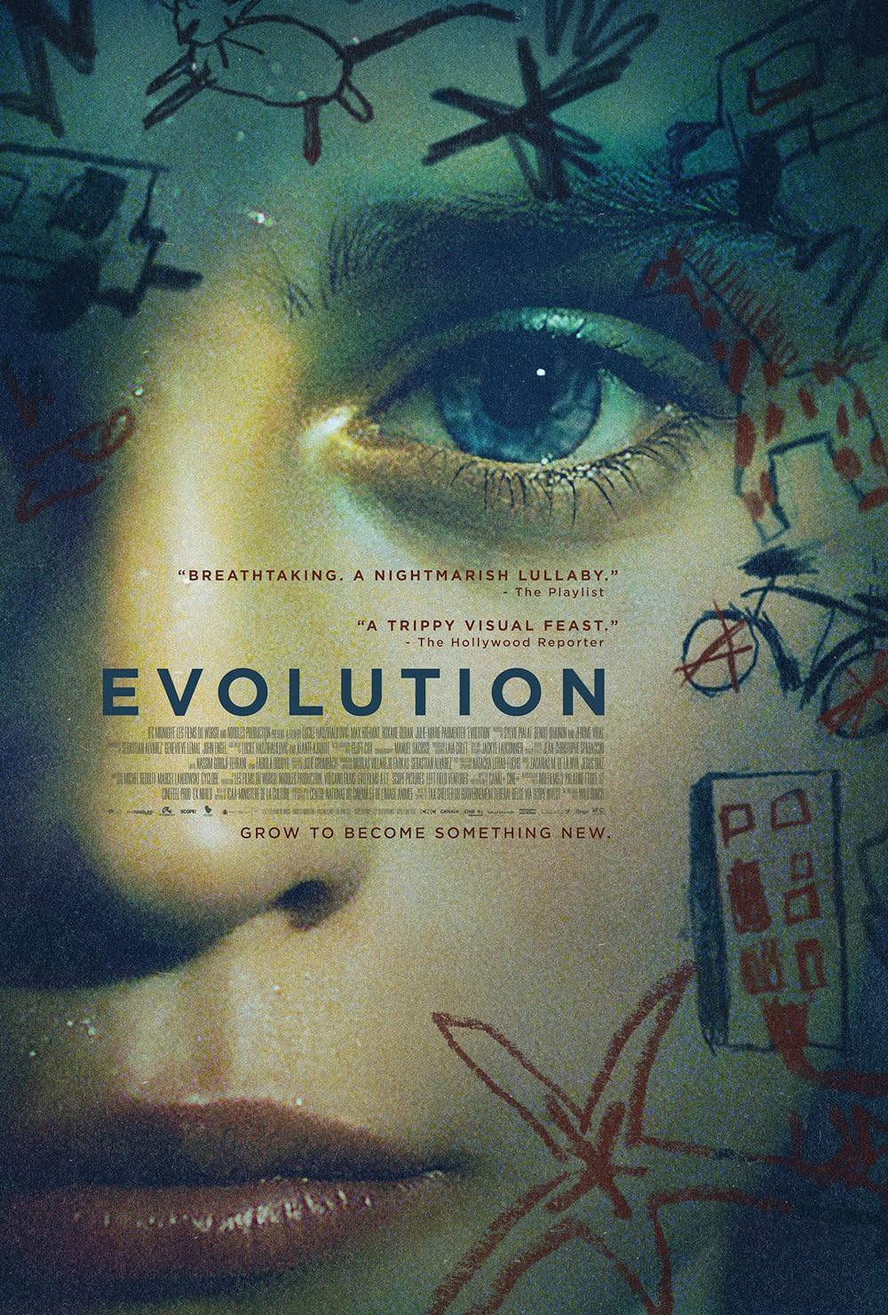 Ã‰volution 